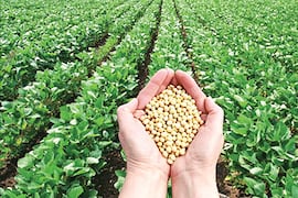 Sector agropecuario logra 20 años de expansión sin deforestaciones