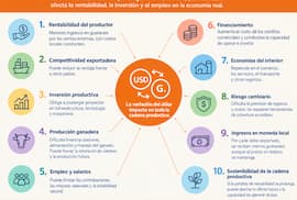 Sector productivo reclama medidas para mitigar efectos de la caída del dólar