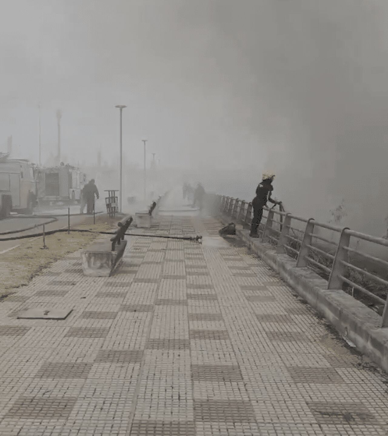Incendio movilizó a equipos de rescate, fuerza nacional y voluntarios
