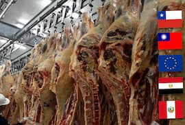 Cinco mercados auditarán al sector pecuario en este trimestre