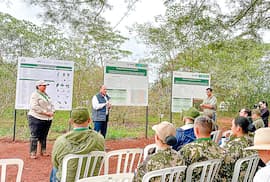 Itaipú explora potencial económico de generar energía con biomasa forestal