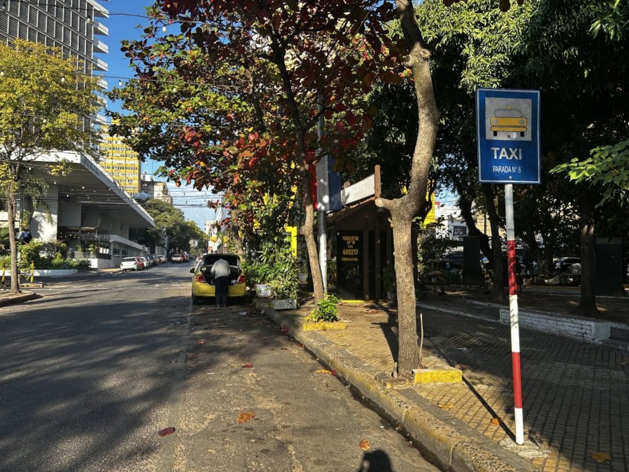Para la Dirección de Tránsito y Transporte de la Municipalidad de Asunción, Florentín Jiménez, no tiene sentido mantener espacios reservados para taxistas, pues muchas paradas están vacías.
