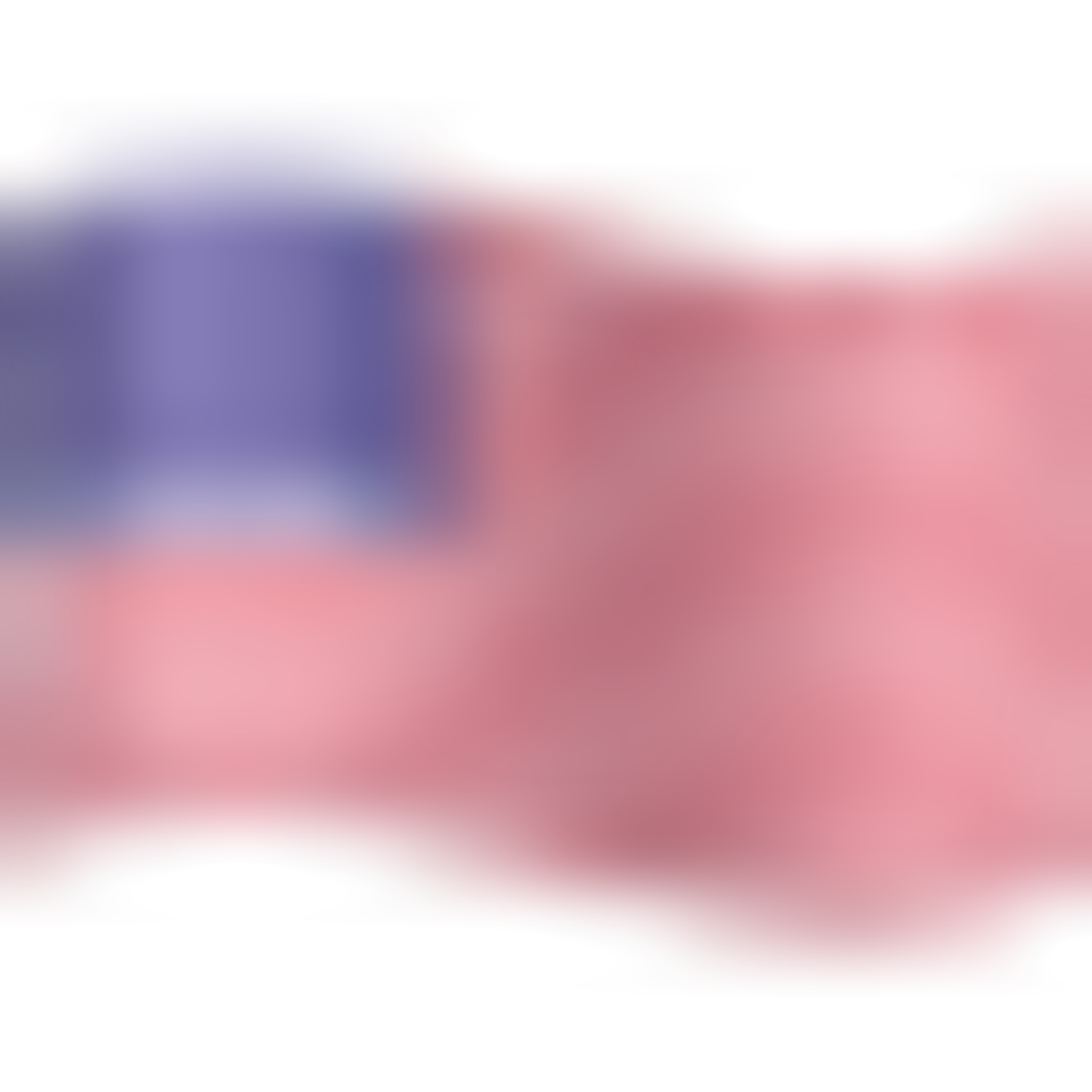 🇺🇸