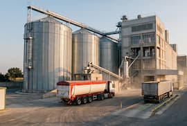 Industria molinera busca expandirse a través de la producción de pastas
