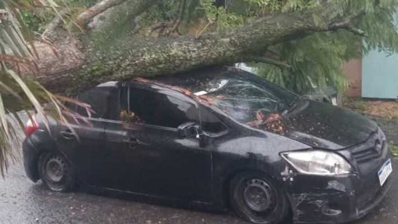 Imágenes del incidente anterior, en diciembre del año pasado. Foto Gentileza