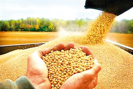 El BID destaca repunte comercial del Paraguay