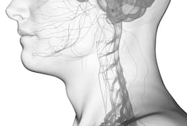 ¿Cómo sabe el cerebro qué hay a nuestro alrededor y dónde estamos?