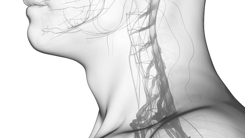 Ilustración del cerebro humano.