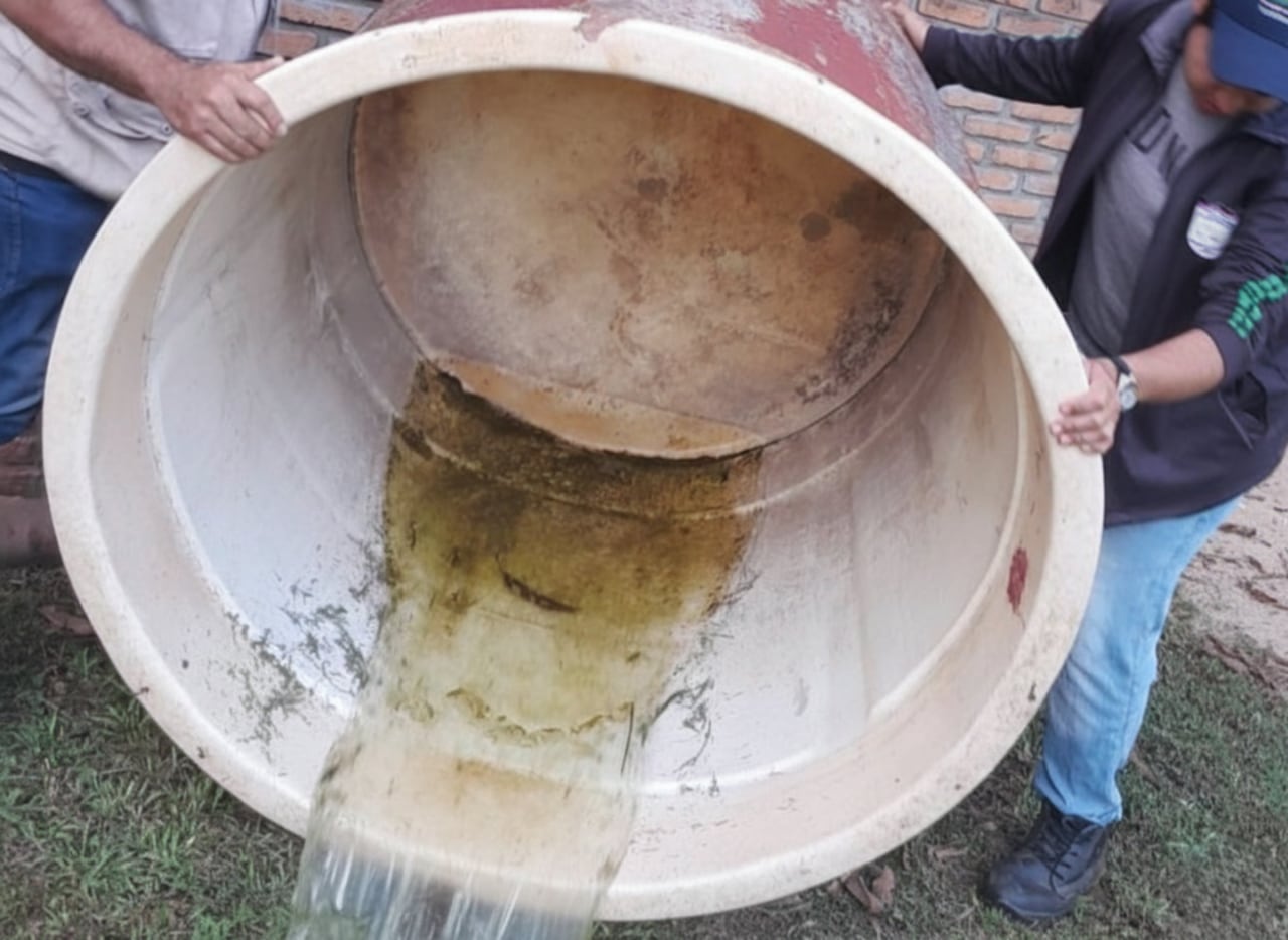Debe ser minucioso con los recipientes que acumulan agua estancada en su patio, pues son criaderos del Aedes aegypti.