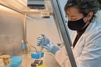 Se inicia un histórico proyecto para investigar la flora nativa nacional