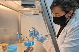 Se inicia un histórico proyecto para investigar la flora nativa nacional