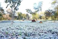 Disminución de la nubosidad marcará la estabilidad térmica durante la tarde