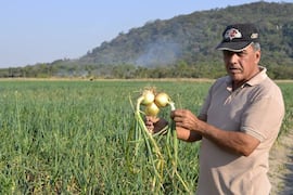 Agricultura campesina afianza sus ingresos mediante ferias locales