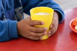 Leche escolar impulsa la economía de pequeños productores locales