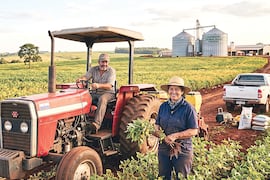MAG inyectó millonarias sumas para la agricultura familiar paraguaya