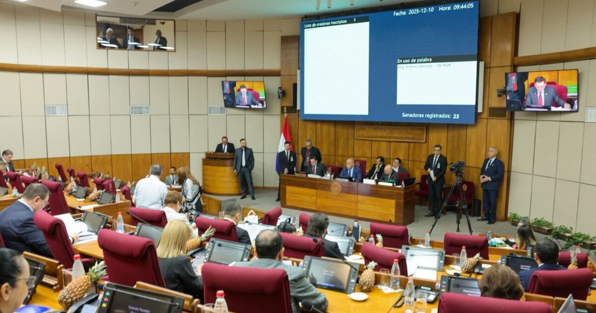 El Senado debatirá modificaciones al Código Penal y ascensos militares