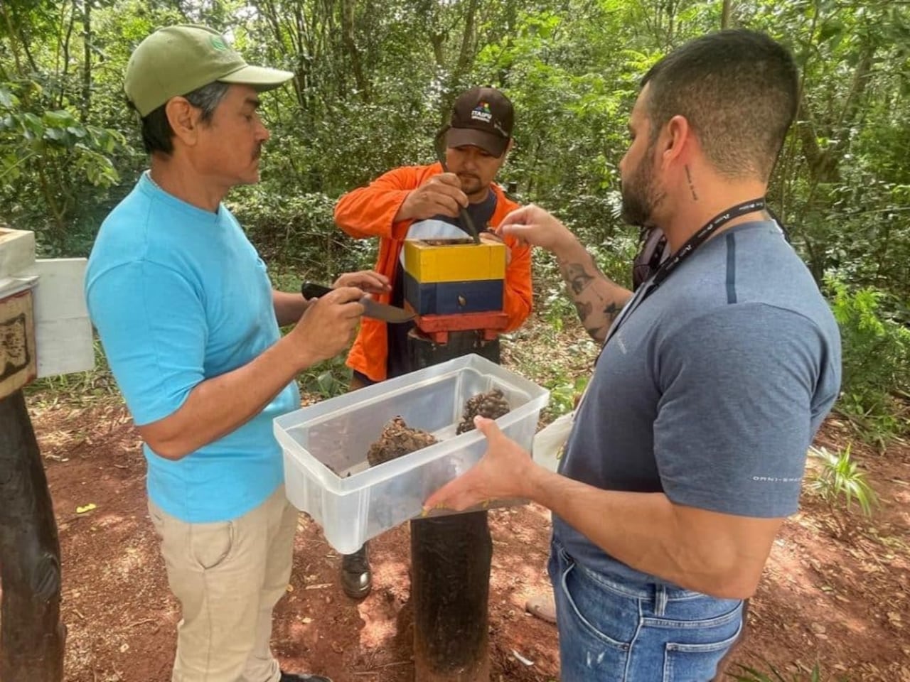 El trabajo fue realizado por técnicos del área, con el acompañamiento de Carlos López,meliponicultor de la comunidad, quien aportó su experiencia práctica en el manejo decolmenas tradicionales y modernas.