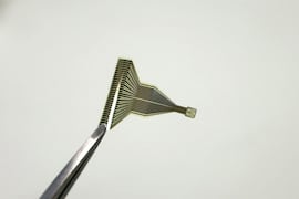 Un chip cerebral ya puede leer y actuar en simultáneo