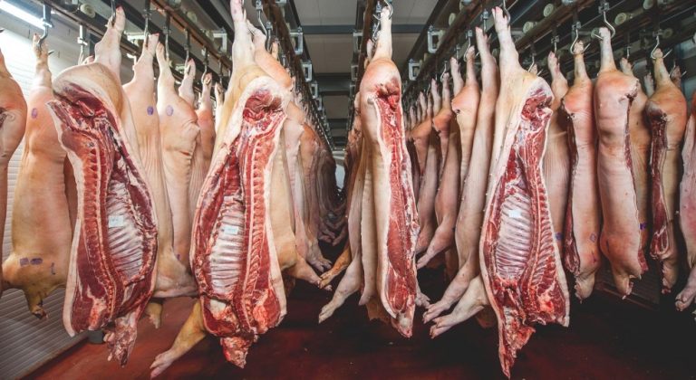 Subirá precio de la carne porcina, una de las más baratas para el asado, que se exportará a Taiwán