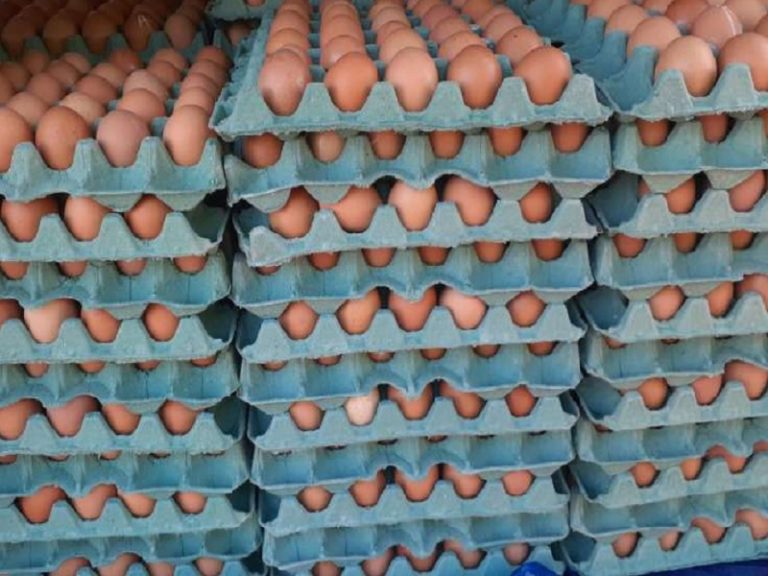 Prometen desinflar el precio del huevo desde este lunes