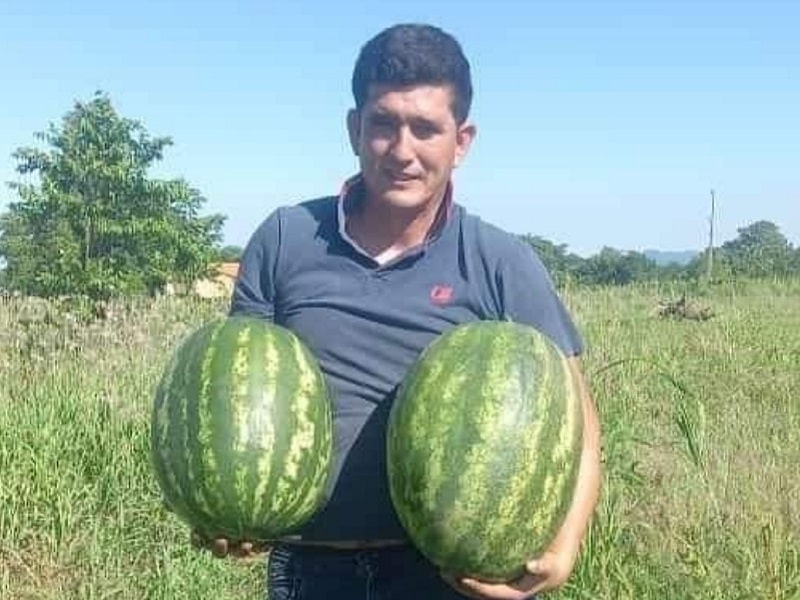 Producci n de sand a en Paraguar comenz mediante un prisionero