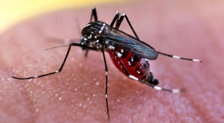 Dengue tipo 3 irrumpe en Luque y se expande en el país