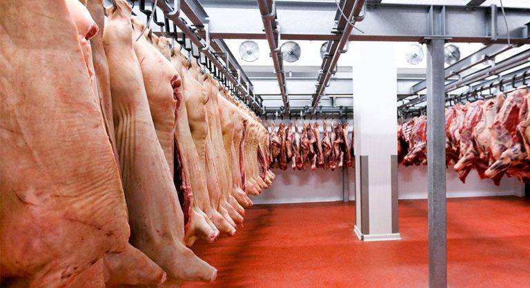 Paraguay ya exporta el 30 % de su carne porcina y apunta a Singapur y Chile