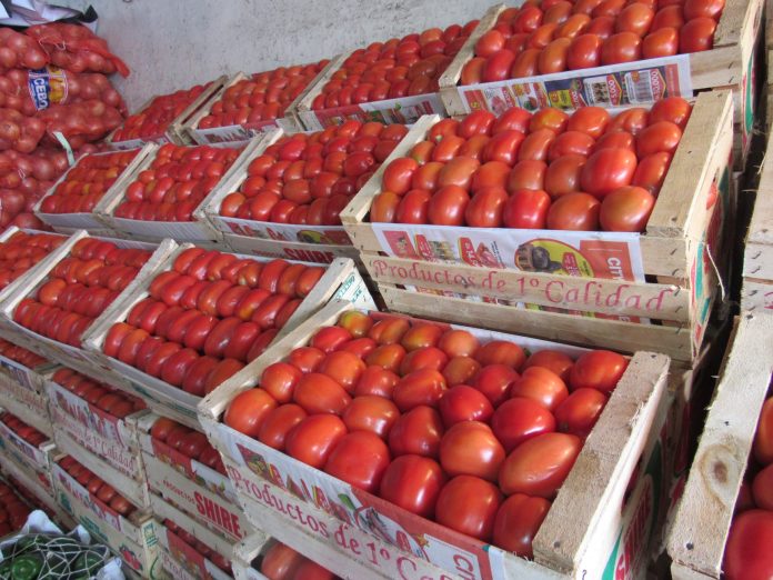 Precios del Tomate en Paraguay