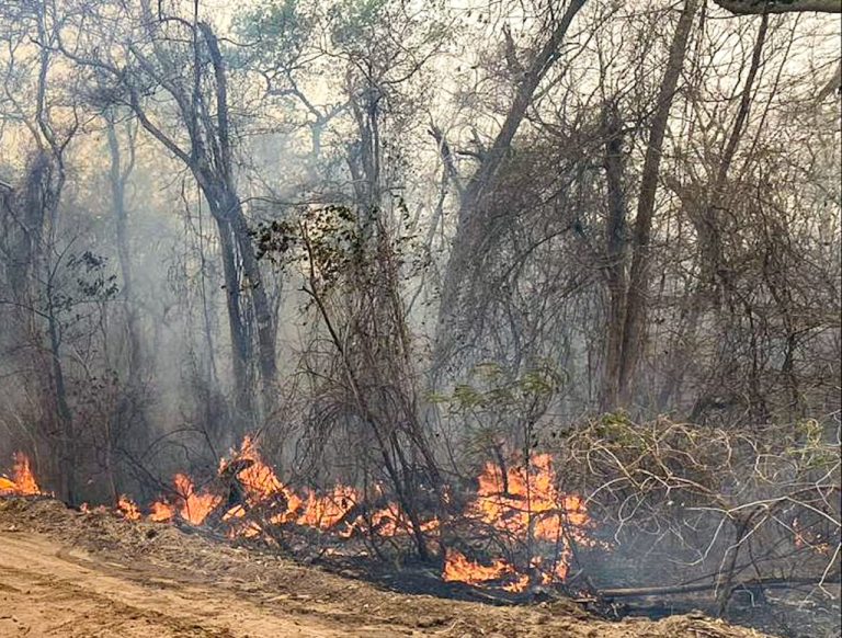 Reactivación del incendio en Cerro Chovoreca moviliza a bomberos y productores