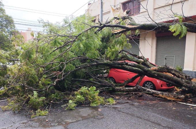 ANDE activó código rojo para reponer servicio cortado por el fuerte temporal