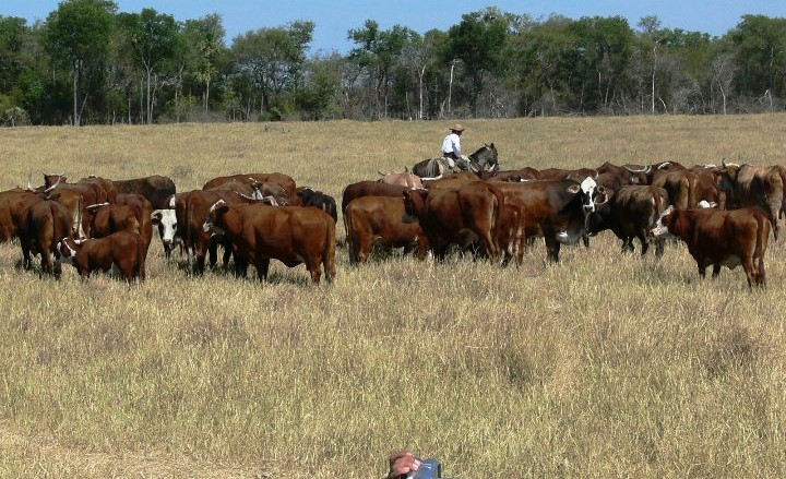 Carrefour no tuvo éxito en Brasil y Peña sugiere buscar mercados fuera de Europa