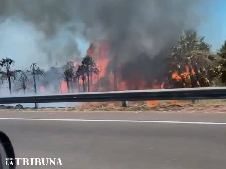 Video: Nuevo incendio forestal afecta zona de la ruta Luque-San Bernardino