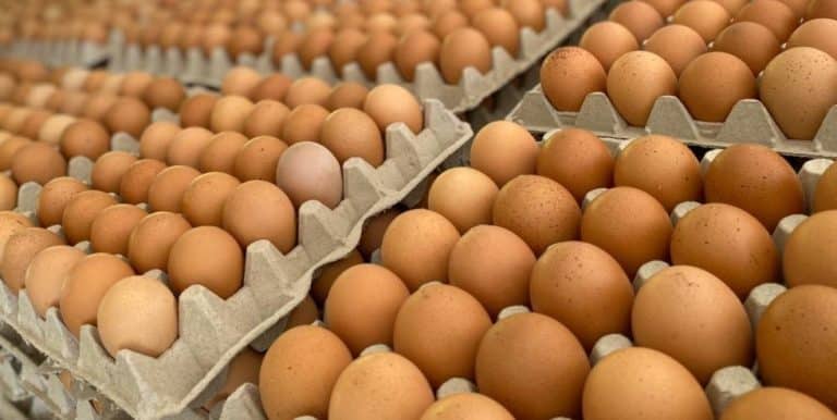 Gremio de productores informa que el precio del huevo se mantendrá entre 30.000 y 43.000 en Semana Santa