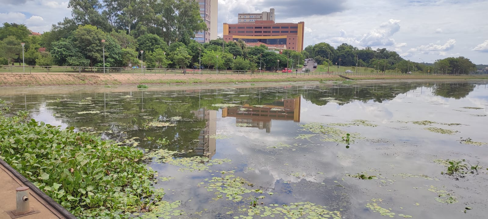 Algas y cianobacterias en aguas del arroyo Potïy. Al fondo se ve el Palacio de Justicia de Encarnación.