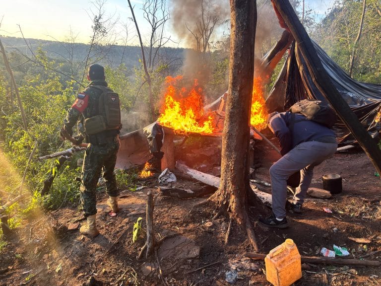 Ocho detenidos y seis toneladas de marihuana incautada en operativo “Cerro azul”